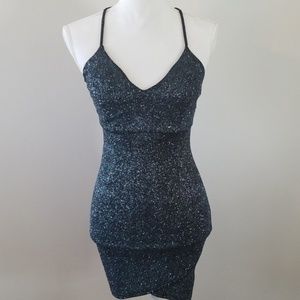 Windsor Dress NWT